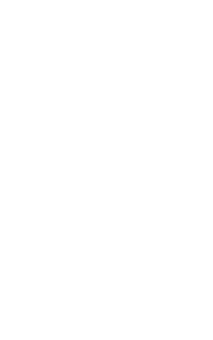 twostouch